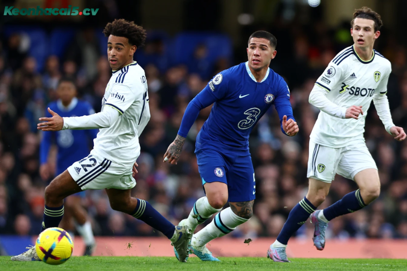 Đội hình dự kiến trước trận Leeds vs Chelsea Đội hình dự kiến trước trận Leeds vs Chelsea