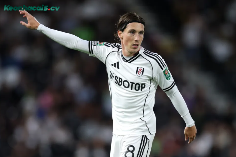 Đội hình dự kiến trước trận Crystal Palace vs Fulham Đội hình dự kiến trước trận Crystal Palace vs Fulham