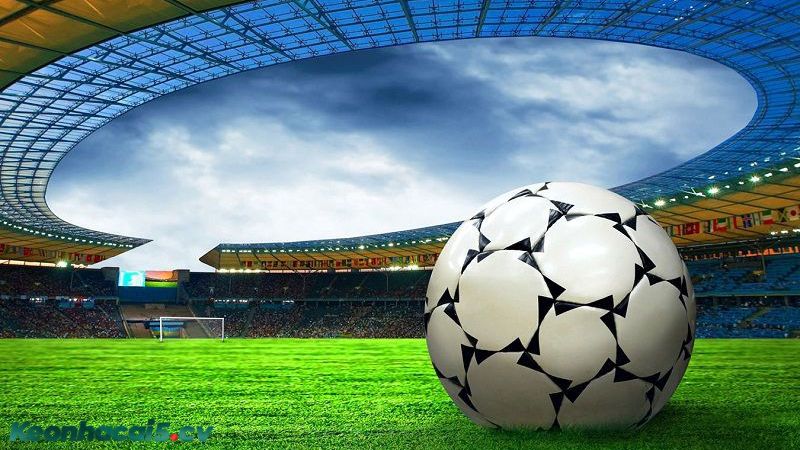 Hãy đặt cược khi đang diễn ra trận đấu Hãy đặt cược khi đang diễn ra trận đấu